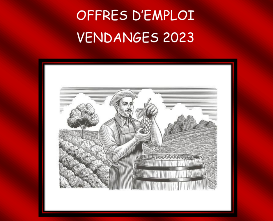 VENDANGES 2023